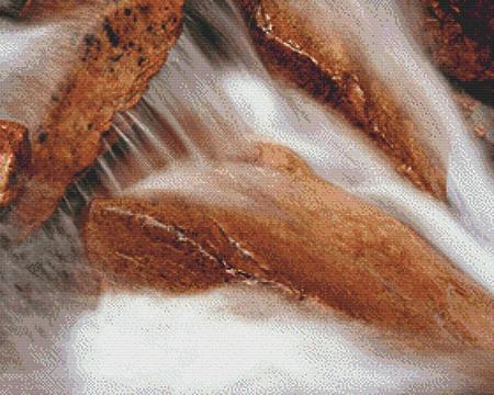 Nature's Finest No 21