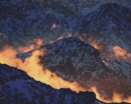 Nature's Finest No 07