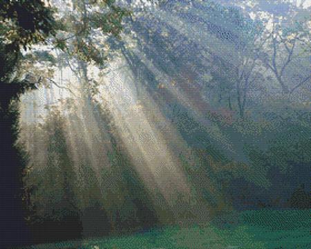 Nature's Finest No 47