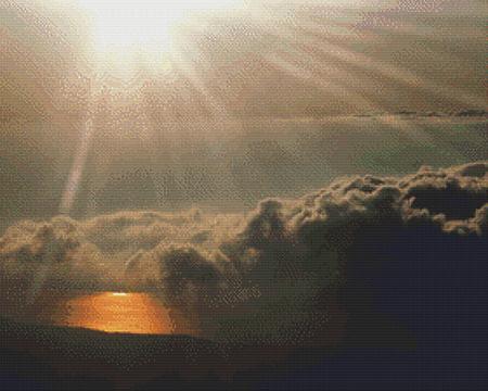 Nature's Finest No 50