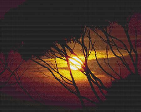 Nature's Finest No 72