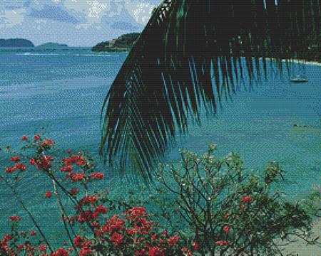 Nature's Finest No 29