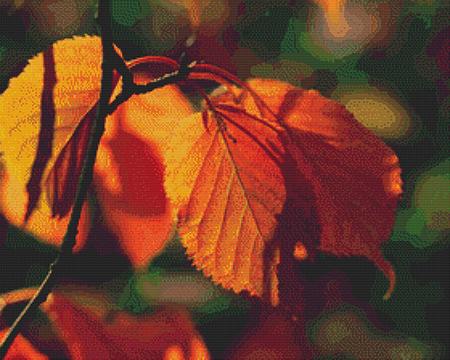 Nature's Finest No 89