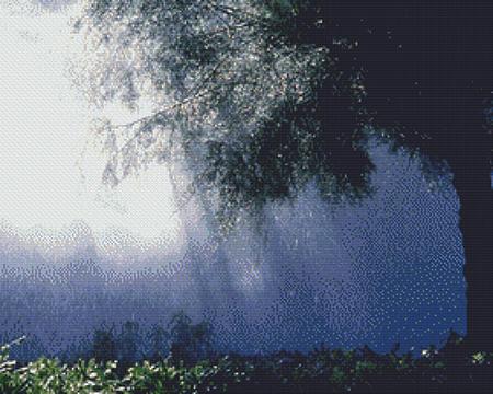 Nature's Finest No 67