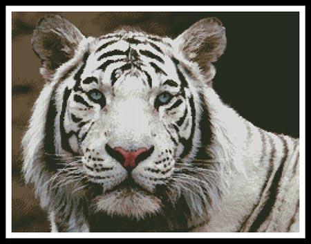 White Tiger 2