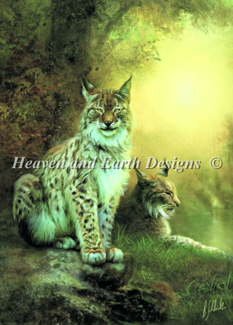 Two Lynxes