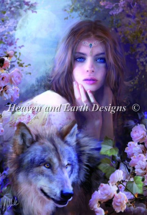 Midnight Rose - Schlick