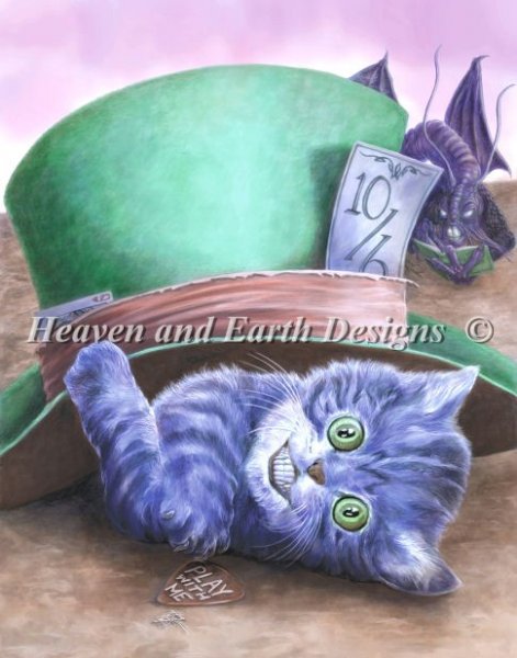 Cheshire Kitten