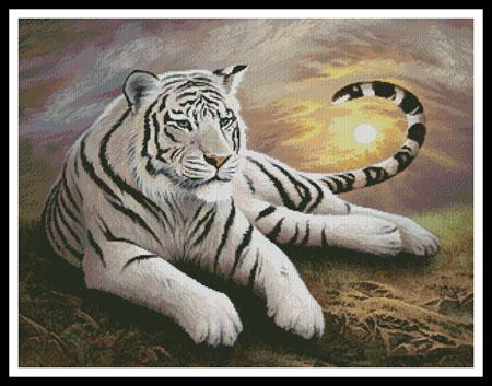 White Dawn  (Jon Rattenbury)