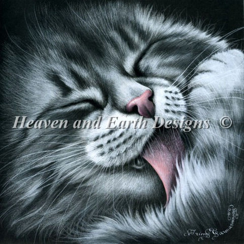 Sweet Paw