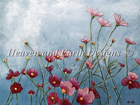 Cosmos