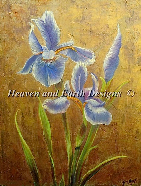 Gilded Iris