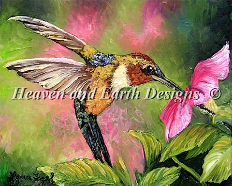 Hummingbird