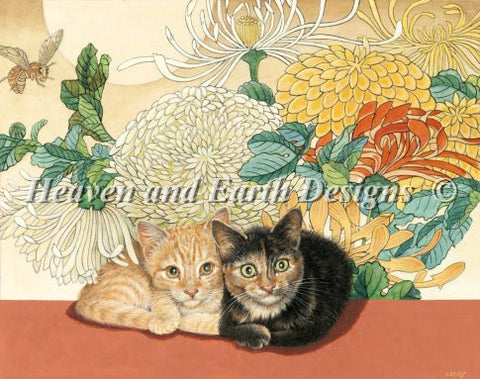 Lindas Cats Liley and Tig