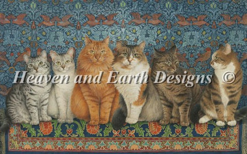 Lineup of Cats