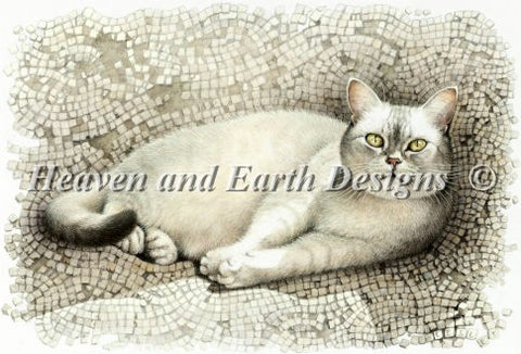 Mumu Resting On Sun Warmed Mosaic