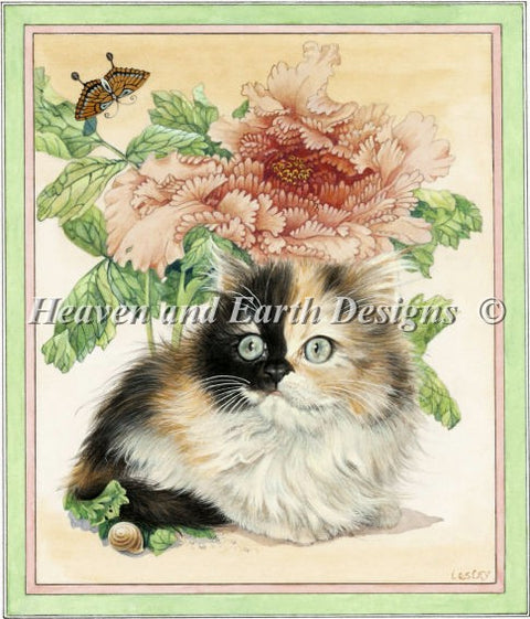 Poppy In Peonies