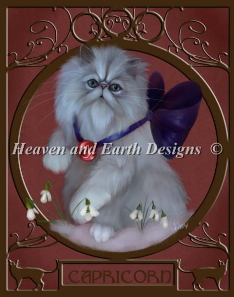 Capricorn Nouveau
