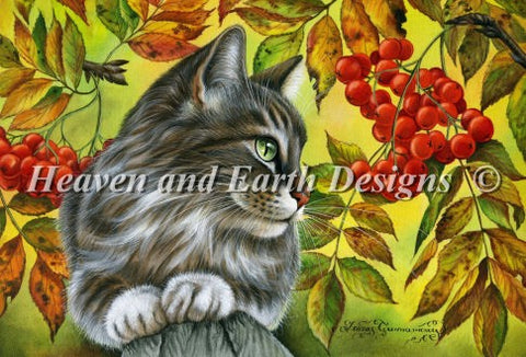 Red Berries