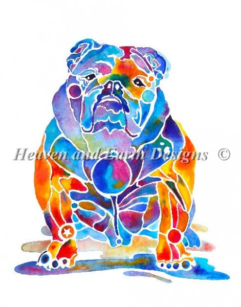 English Bulldog