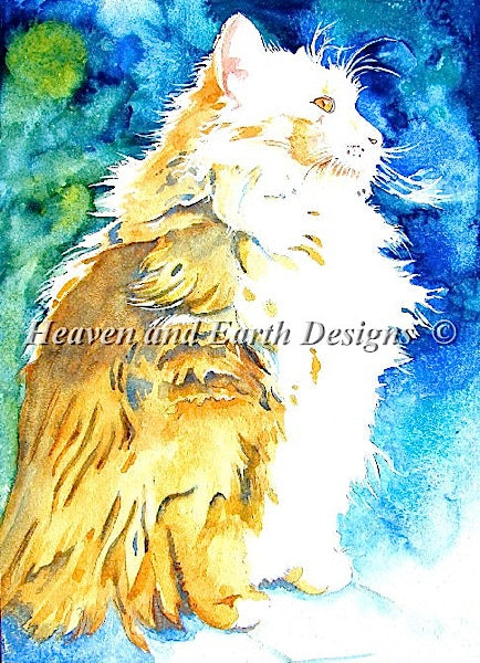 Maine Coon Pride