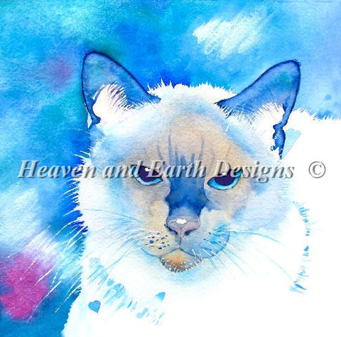 Siamese 2