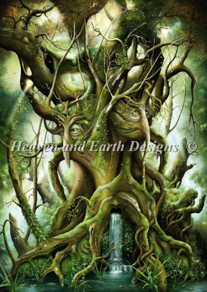 Enchanted Woods