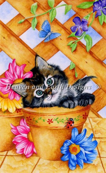 Mini Trellis Kitty
