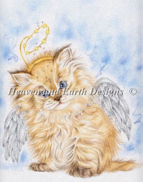 Angel Whiskers