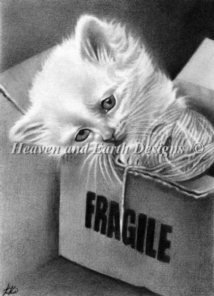 Fragile