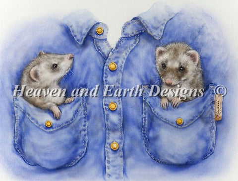 Pocket Ferrets