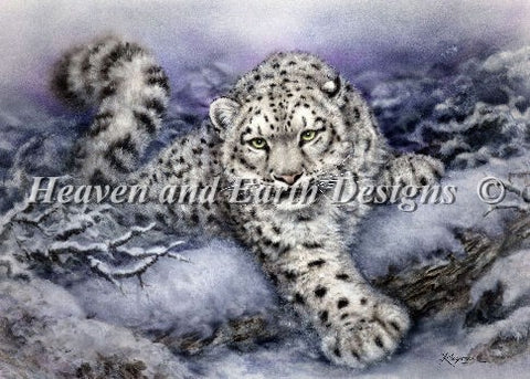 Snow Forest