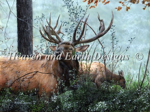 Elk