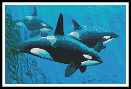 Northern Patrol  (Cynthie Fisher)