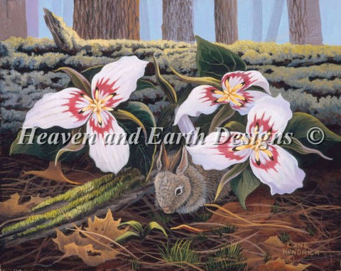 Rabbit with Trilliums - Lane Kendrick