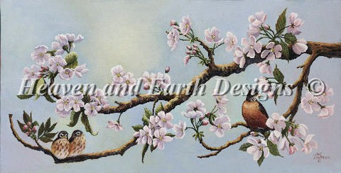 Robin and Tree Limb - Lane Kendrick