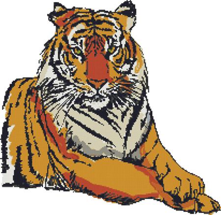 Quiet Tiger