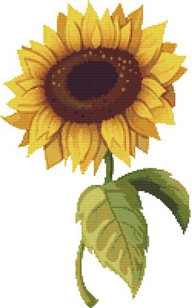 Single Sunflower