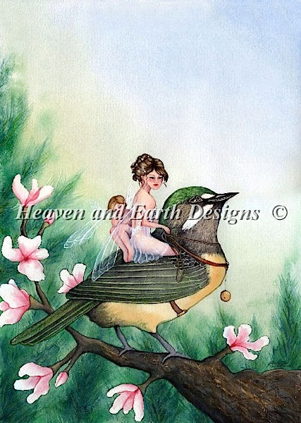 Fairy Warbler
