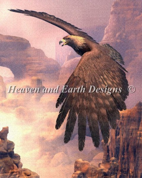 Canyon Flight