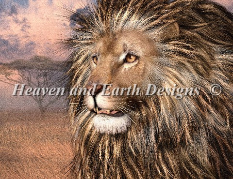Soul of the Masai Mara