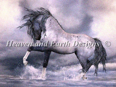 Untamed Spirit