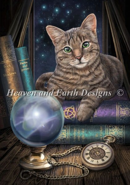 Fortune Teller, The