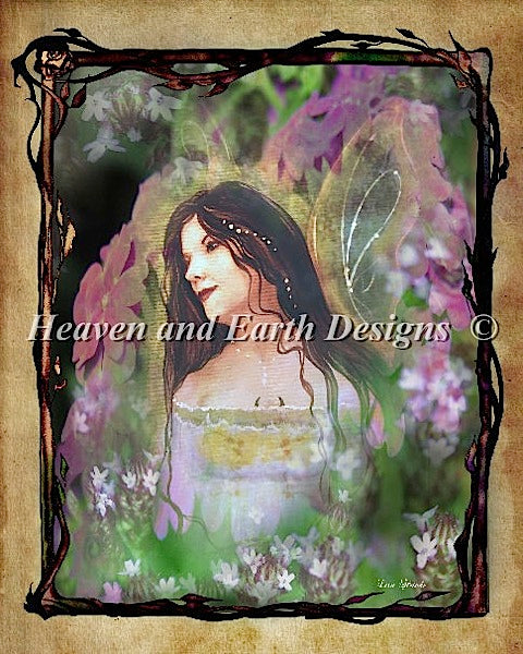 Herb Collection - Vervain