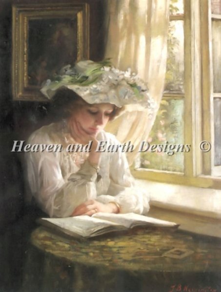 Lady Reading By Window