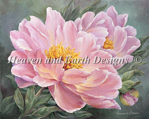 Peony Glow