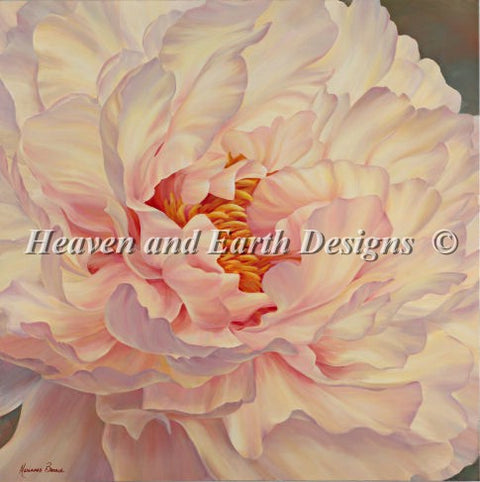 Peony Petals