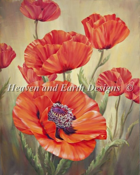 Poppy Dance
