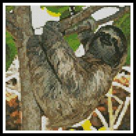 Mini Three Toed Sloth