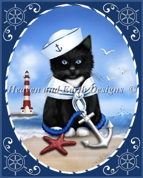 Sailor Boy